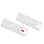Rapid Test